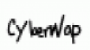 cyberwap